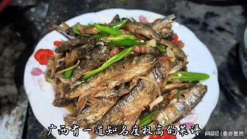 鱼仔最新爆料,揭秘娱乐圈最新动态