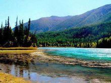 喀纳斯湖最新爆料信息,揭秘世界最深湖泊的奇幻传说