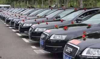 深圳租车最新爆料,热门车型与优惠信息大揭秘