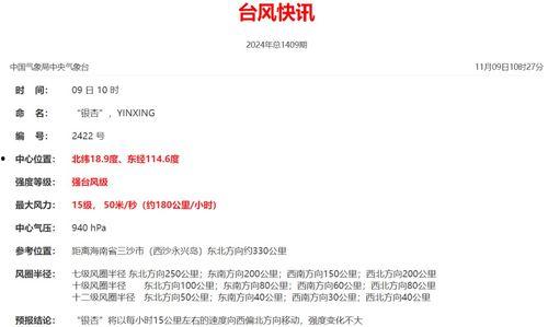 小雨最新爆料新闻报道,最新新闻报道揭秘