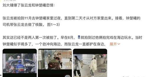 刘大锤最新爆料钟楚曦,娱乐圈风云再起！