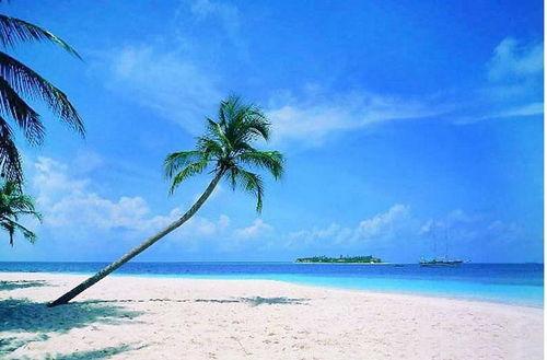 海南旅游最新爆料消息,秘境探险与海岛风情尽享之旅