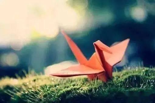 千纸鹤最新爆料视频,幕后真相大起底